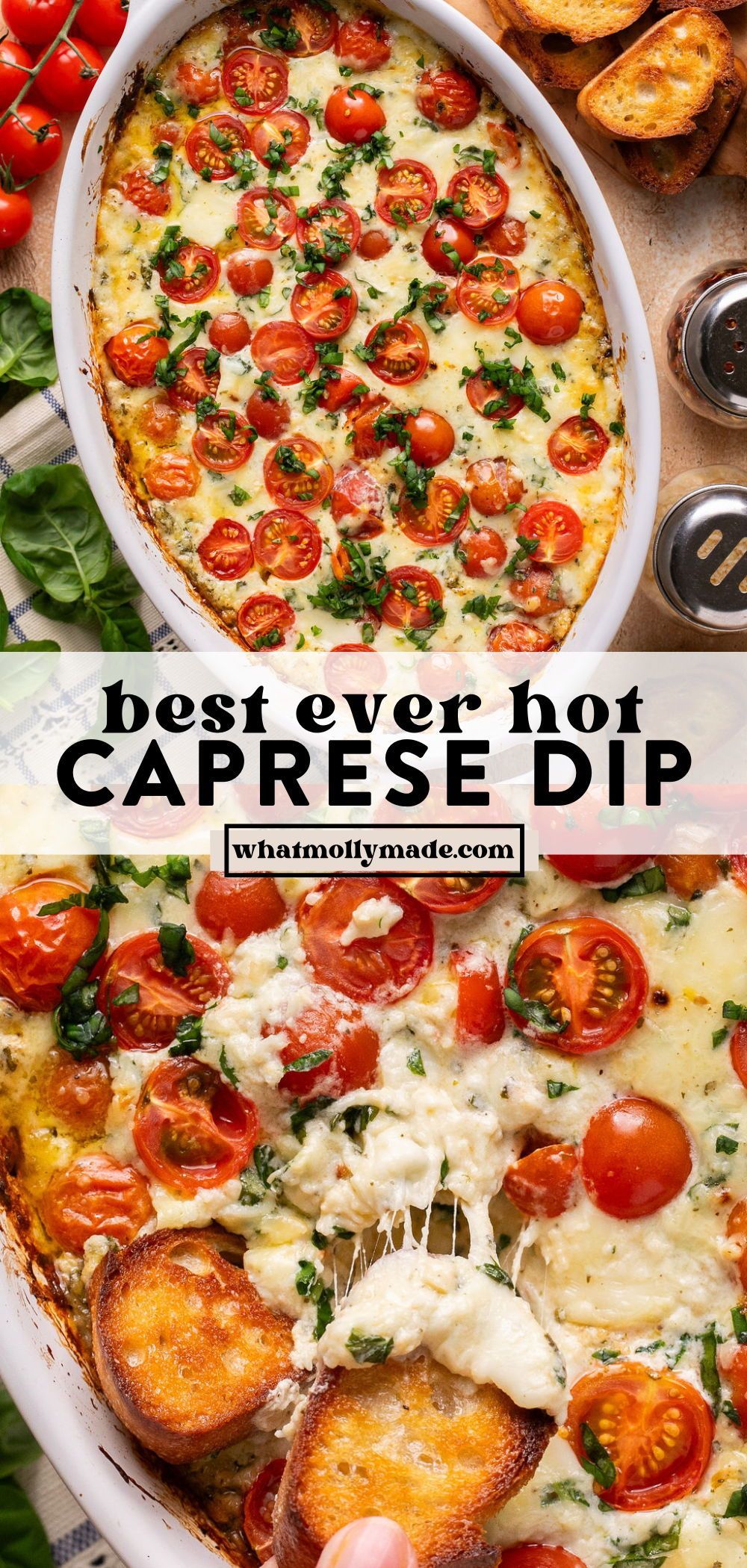 Easy Ideas For Potluck