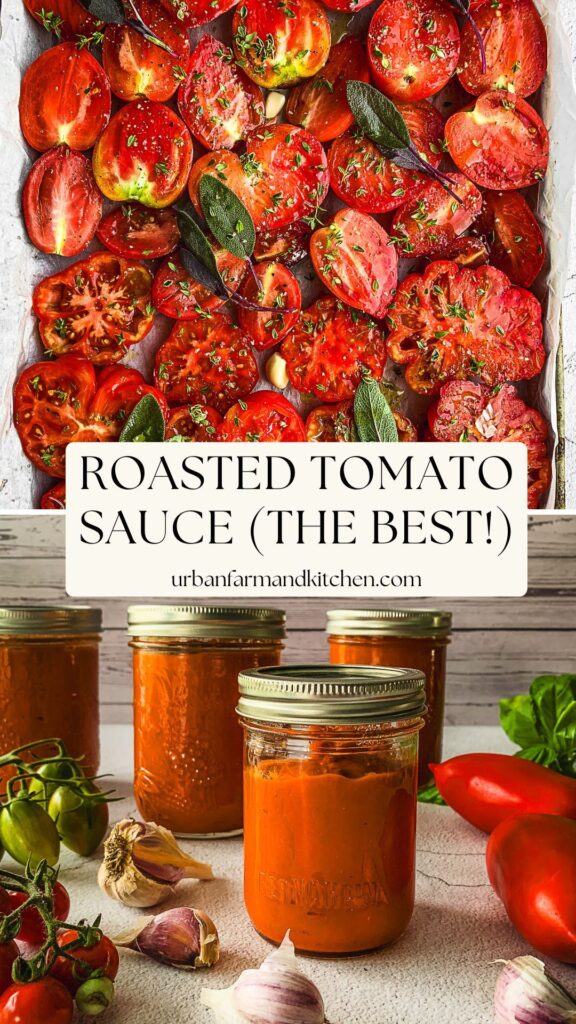 roasted tomato sauce recipe