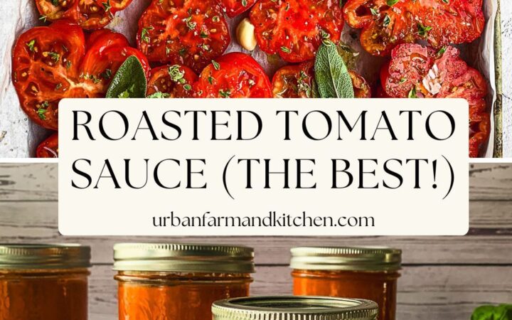 roasted tomato sauce recipe