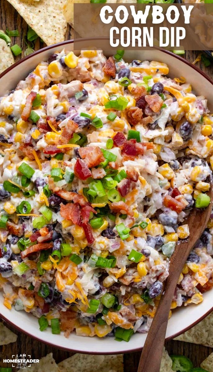 Cheesy Corn Dip Recipe