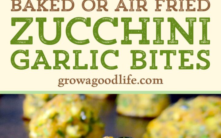 crunchy zucchini recipes
