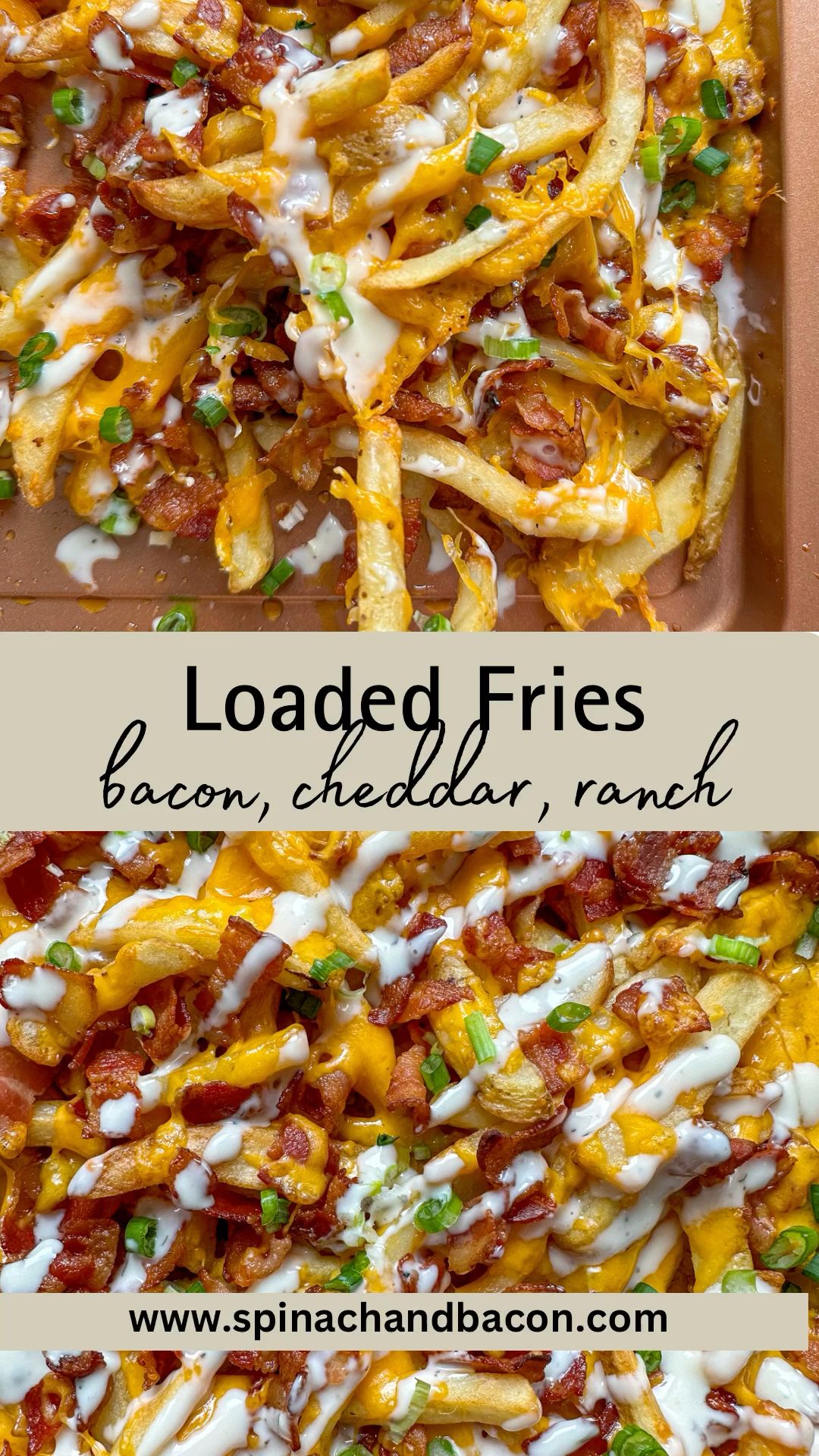 Cheesy Bacon Fries