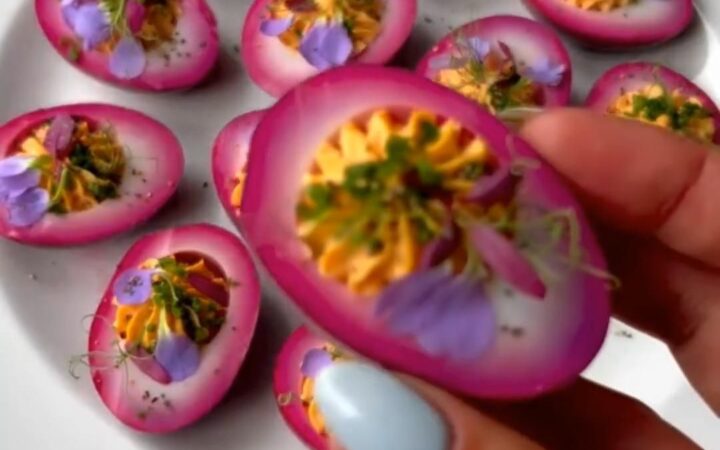 elegant appetizer recipes