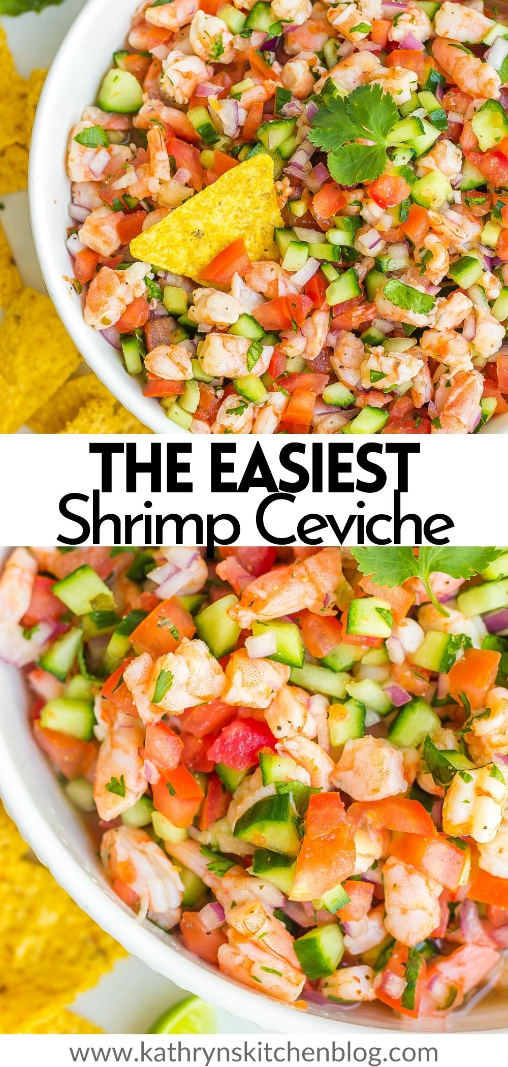 Mexican Ceviche Recipe Easy
