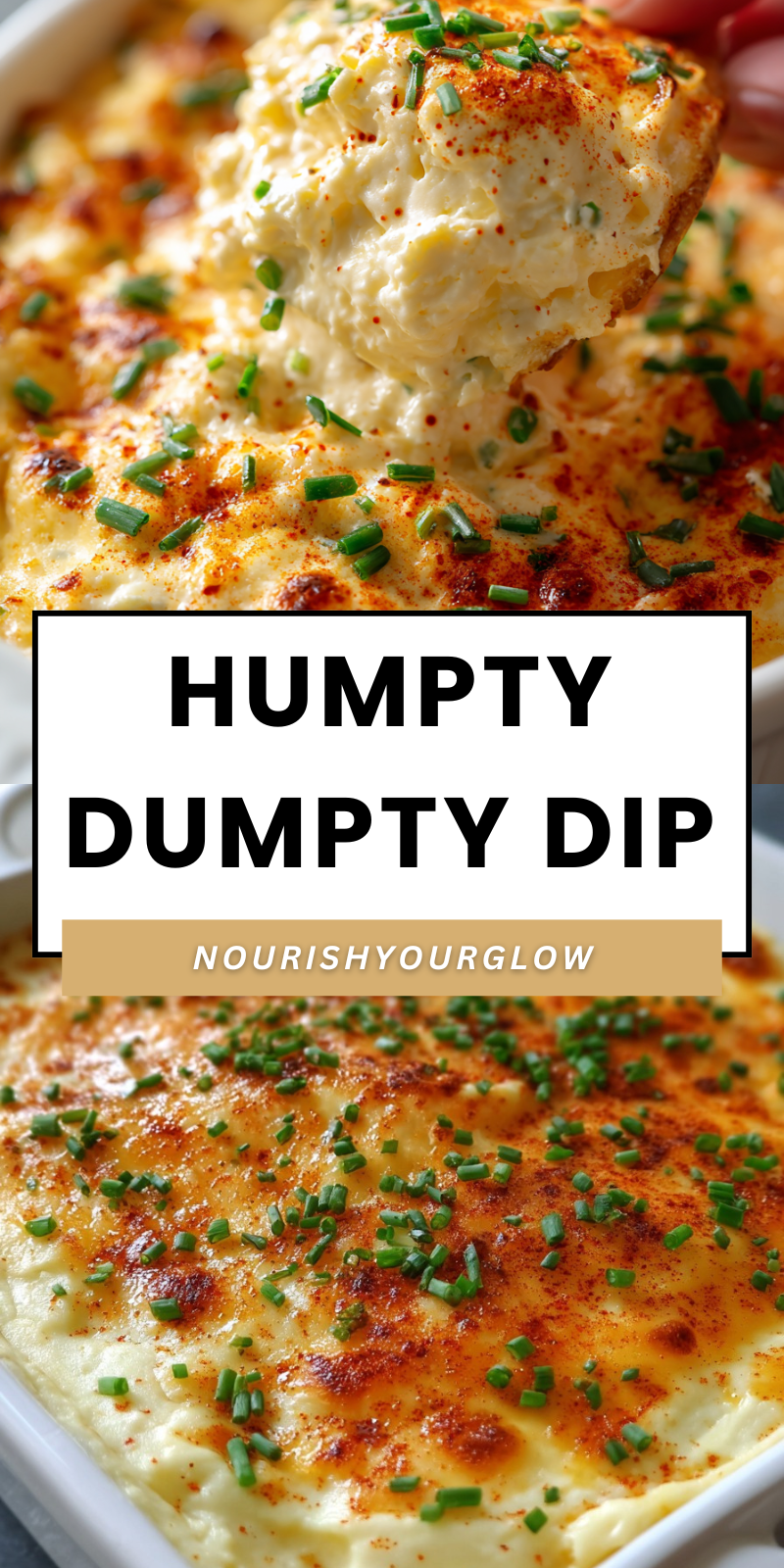 Hot Appetizer Dip