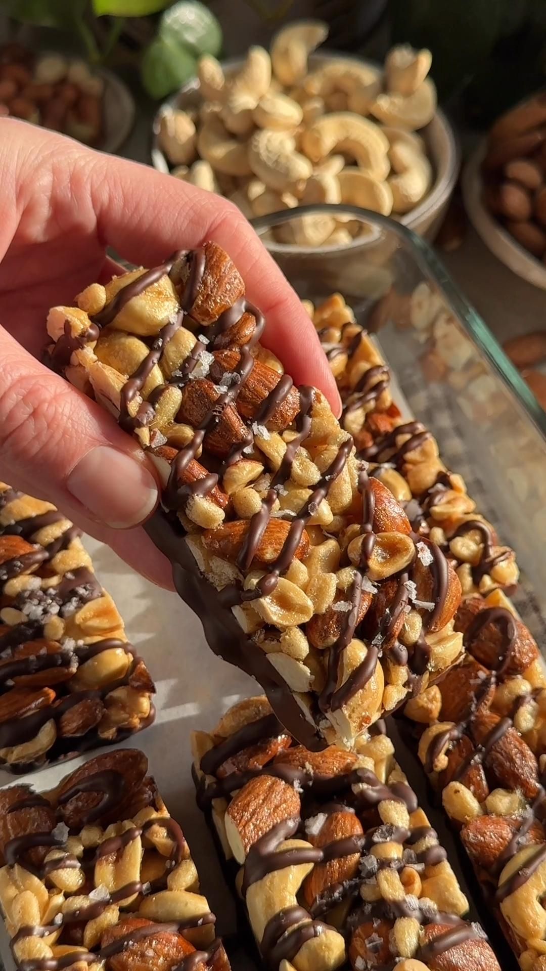 Dark Chocolate and Sea Salt Nut Bars