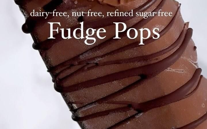 avocado fudge popsicles