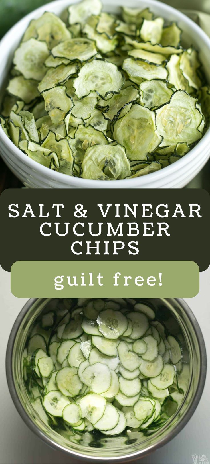 Salt and Vinegar Cucumber Chips