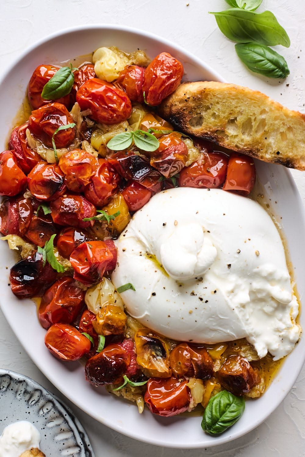 Roasted Tomato and Burrata