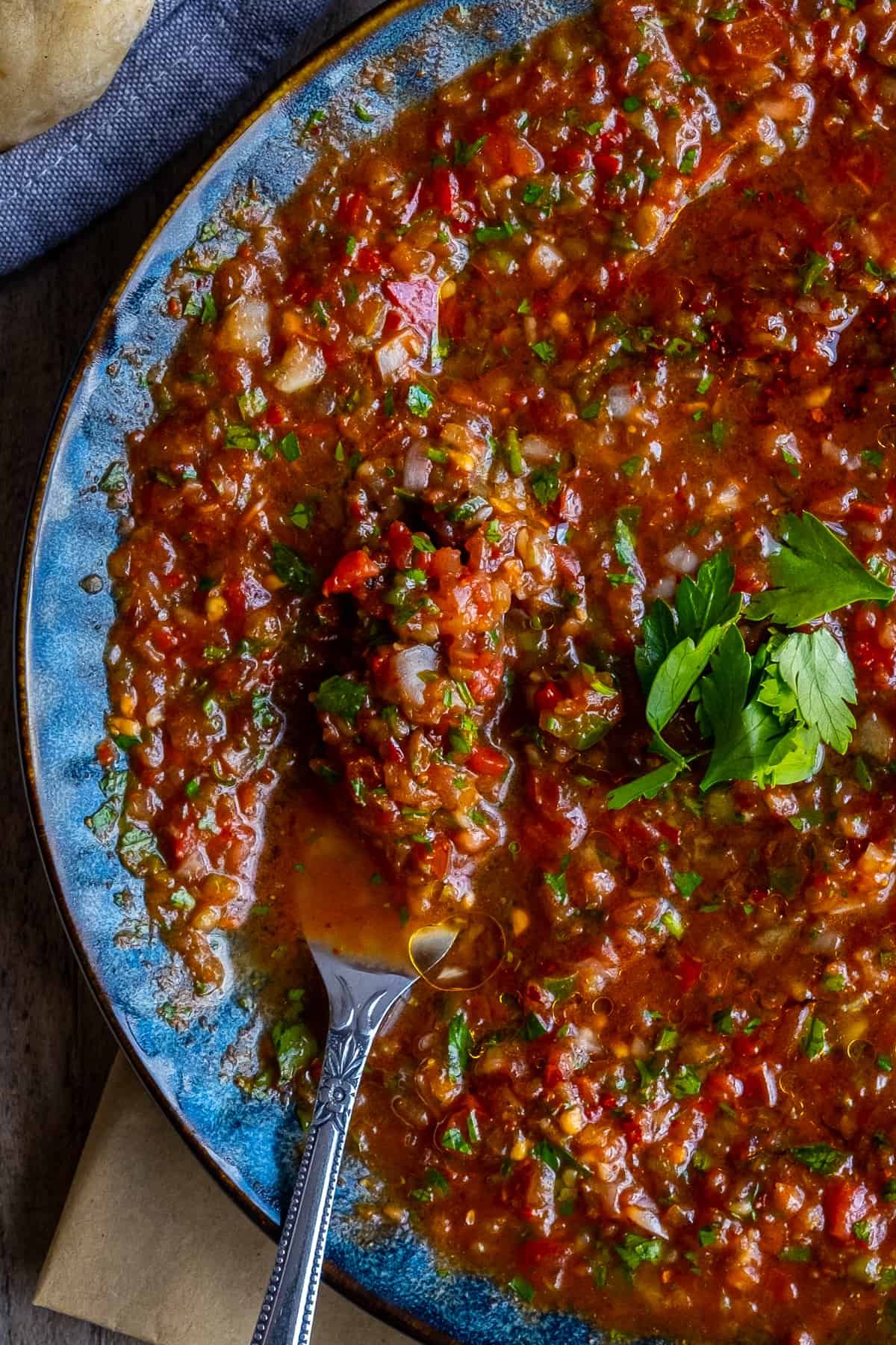 Turkish Ezme Dip