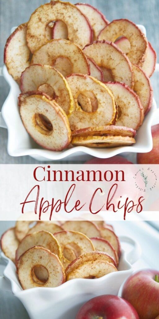 cinnamon apple chips in bowl recipe