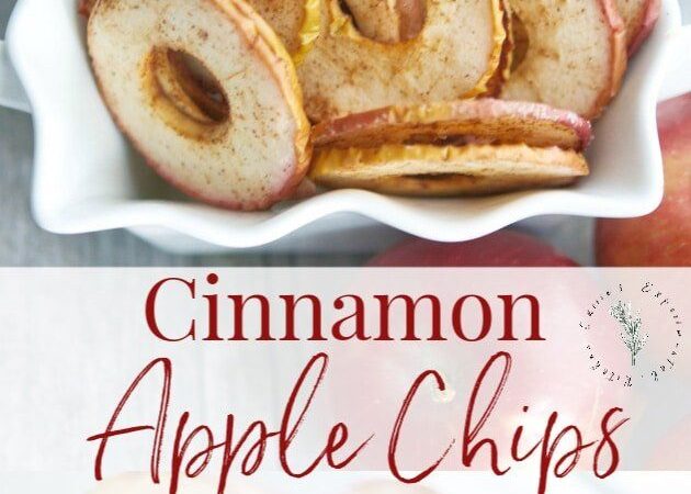 cinnamon apple chips in bowl recipe